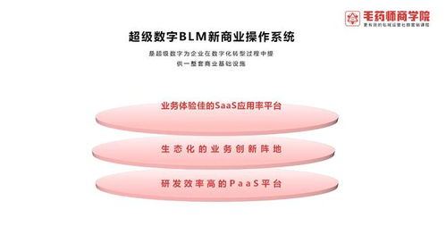 超級數字BLM新商業操作系統 引領數字技術服務新紀元
