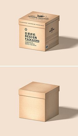 2022年最新紙板產品展示樣機素材 創意、實用與設計靈感的完美融合